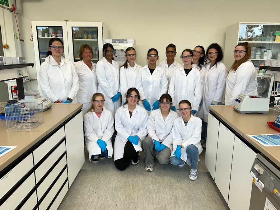 Spurensuche mittels genetischem Fingerabdruck