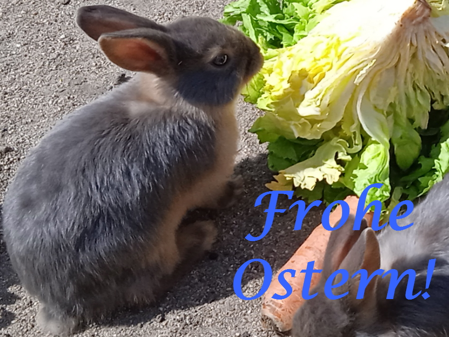 Frohe Ostern!