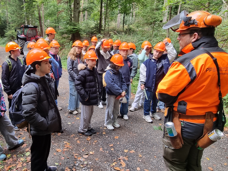 Ein Tag im Wald